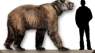 Животные юрского периода/Animals of the Jurassic period