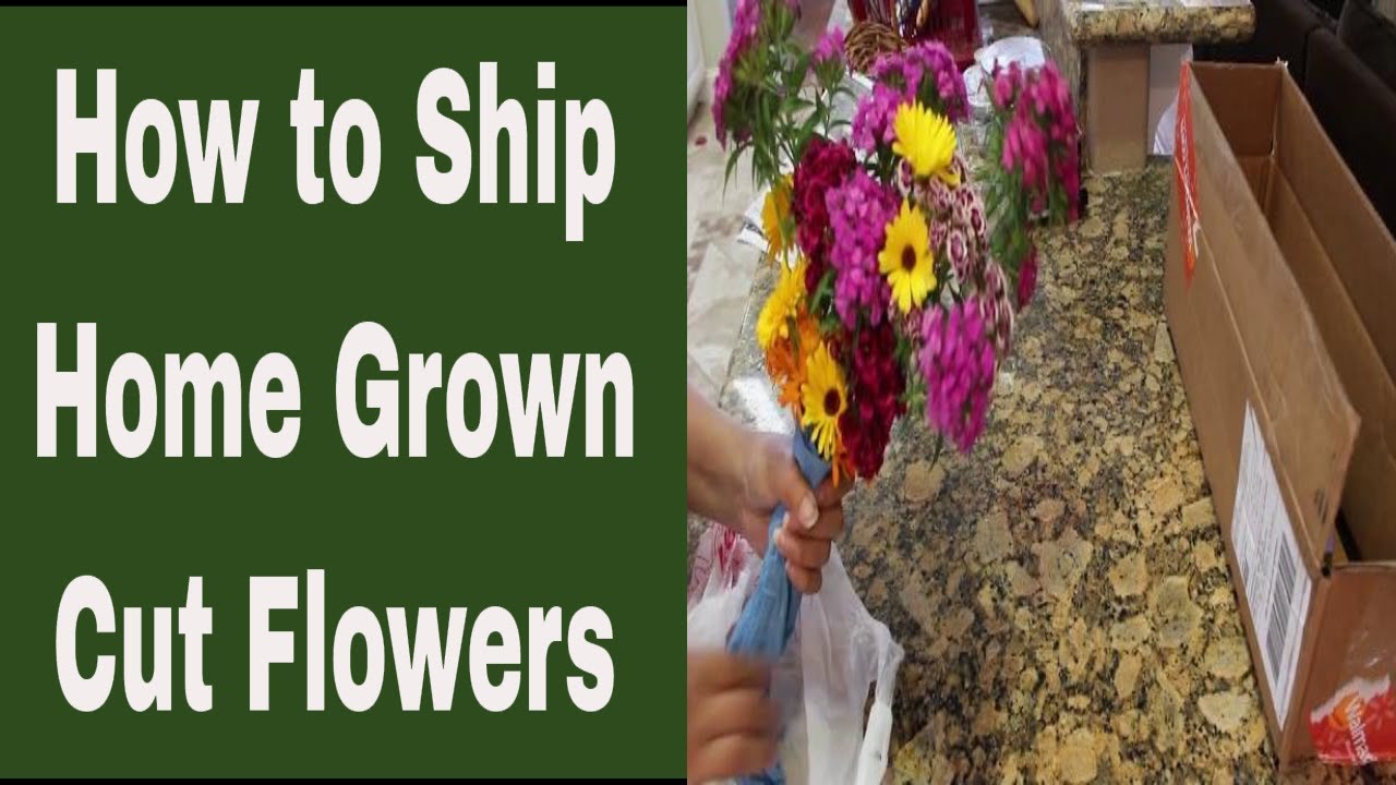 Diy Shipping Fresh Cut Flowers In The Mail Year Round Cutting Garden Ep 56 Youtube