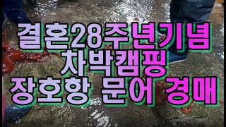 결혼28주년기념(5) 장호항 어촌 경매 오징어 배 덕구온천 힐링까지! 석패밀리캠핑의 특별한 캠핑 여행기 Camping Trip Healing at Deokgu Hot Springs