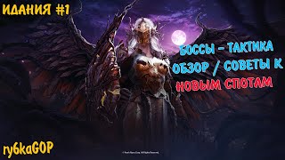 картинка: Black desert : ГАЙД НА БОССОВ И СПОТЫ ИДАНИИ