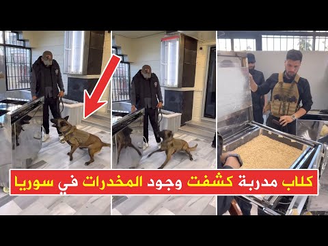 كلاب مدربة تتبع لوحدة K9 تتمكن من كشف شحنة مخدرات في معبر نصيب الحدودي كانت في طريقها إلى السعودية