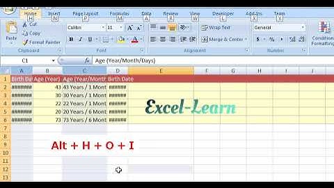Excel AutoFit Specific Columns - Alt H O I