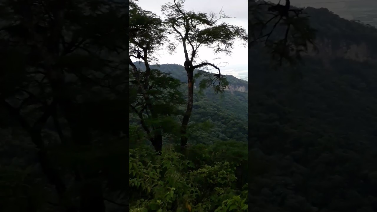 Alto Yariguarenda- Tartagal Salta Arg