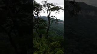 Alto Yariguarenda- Tartagal Salta Arg