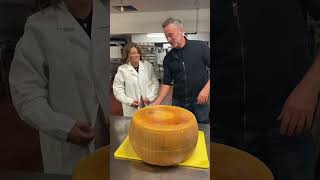 Cracking a wheel of Parmigiano Reggiano! Cracking a wheel of Parmigiano Reggiano!