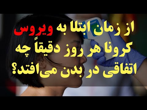 تصویری: سیرو ویروس مرتبط با مرگ های متعدد سگهای میشیگان