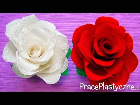 Wideo: Jak Zrobić Róże Kiełbasiane