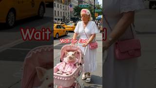 POV: You’re walking in NYC and see THIS in a stroller 😳🐷” #shorts #viral #funny