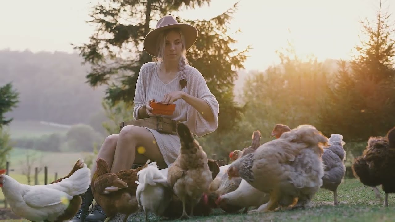 Boost Your Flock’s Health with RUN-CHICKEN Supplements