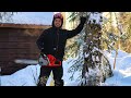 Felling Trees at our Remote Cabin in the Alaskan Wilderness