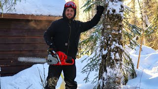 Felling Trees at our Remote Cabin in the Alaskan Wilderness