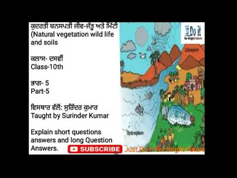 ਕੁਦਰਤੀ ਬਨਸਪਤੀ ਜੀਵ-ਜੰਤੂ ਅਤੇ ਮਿੱਟੀ ਭਾਗ 5 ਪੰਜਾਬੀ ਭਾਸ਼ਾ ਸਮਾਜਿਕ ਸਿੱਖਿਆ