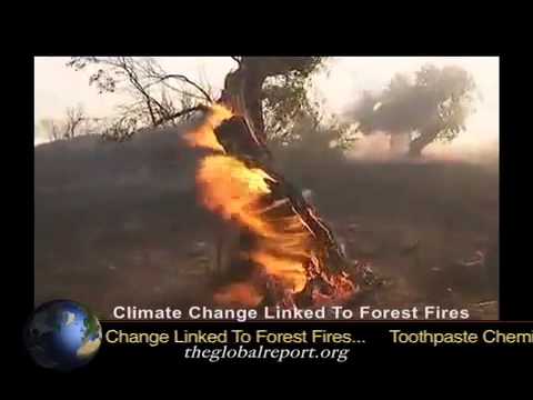 Climate Change Linked To Forest Fires