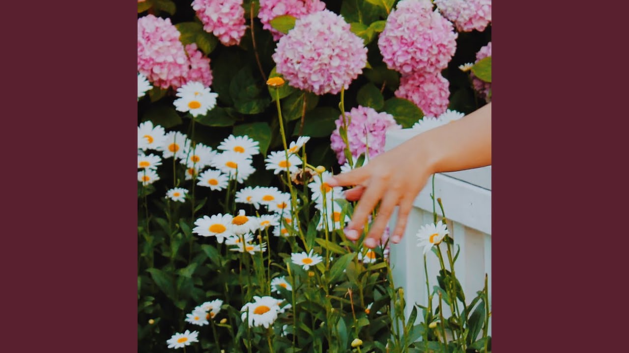 Watch Superstar on YouTube Watch Superstar on YouTube