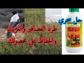 الحل السحرى لطرد العصافير والغربان لكل المحاصيل الزراعية قمح وفول وذرة وفراولة ومزارع العنب