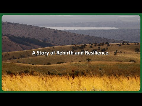 Welcome to Akagera National Park, Rwanda