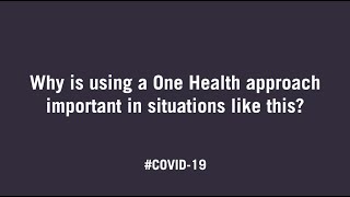 The Importance of a One Health Approach