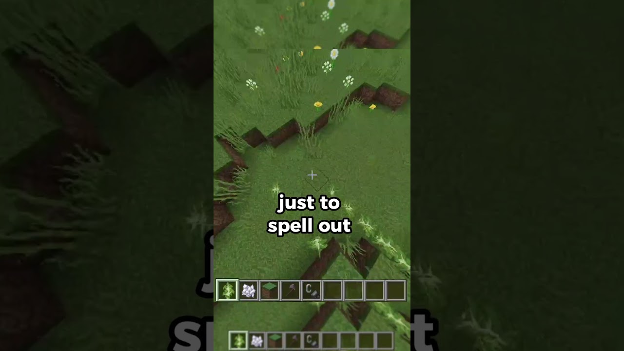 Camman Called...