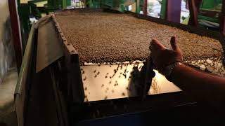 Jim's Organic Coffee: Costa Rican Coffee Density Sorter