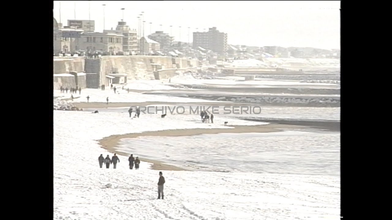 Nevada histórica en Mar del Plata, 1 de Agosto 1991 - 30 Años