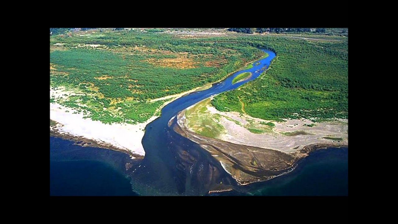 Урал впадает в каспийское море. Устье реки Иордан. Эстуарий Геология. Волга Устье эстуарий. Дельта реки Иордан.