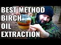 How To Make Birch Oil From Birch Bark