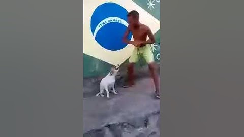 INTRO DORGAS TESTE by:eu