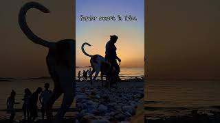 Timelapse of popular sunset in Ibiza #ibiza #timelapse #sunset #sunnyday #sunrisephotography #sunday