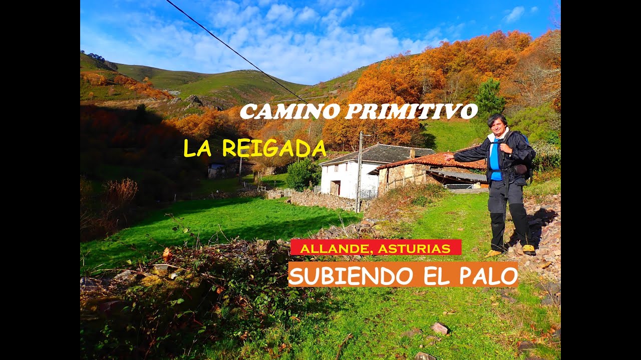 CAMINO PRIMITIVO: LA REIGADA, SUBIENDO EL PUERTO DEL PALO (ALLANDE, ASTURIAS) VALLE DEL RÍO NISÓN