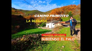 CAMINO PRIMITIVO: LA REIGADA, SUBIENDO EL PUERTO DEL PALO (ALLANDE, ASTURIAS) VALLE DEL RÍO NISÓN