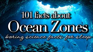 Science For Sleep💤Ocean Zones Explained💤Bedtime Story For Grown Ups