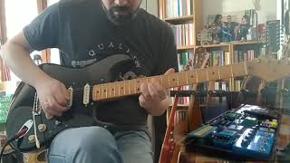 "The Blue" solo (David Gilmour) - Simone Biancon Guitar Cover