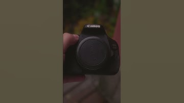 Do They Have Wi-Fi Or NFC? Canon 6D vs Canon 600D (T3i)