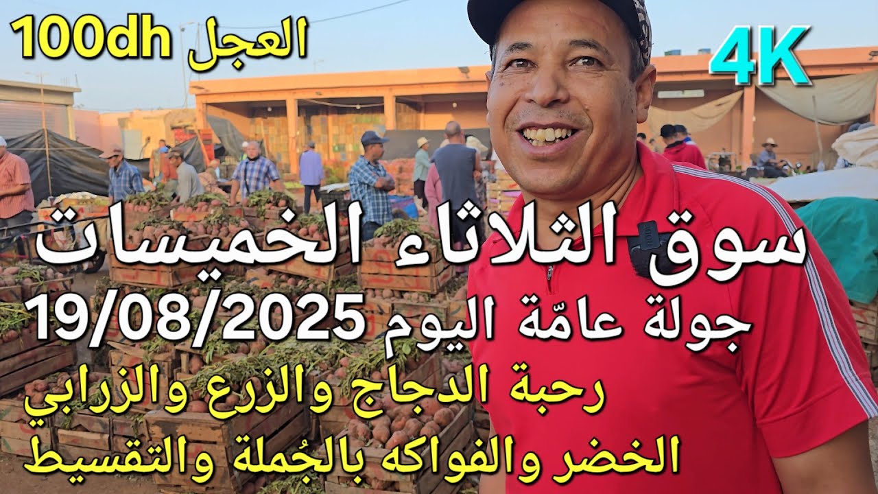 أثمنة الدجاج واللحوم والخضر والحبوب سوق الثلاثاء الخميسات اليوم 19/08/2025