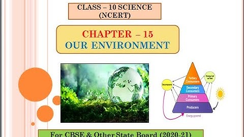 Class-10 Science (NCERT) | Chapter-15 Our Environment |Full Chapter Explanation