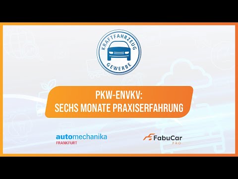 Pkw-EnVKV: Sechs Monate Praxiserfahrung im Automobilvertrieb | Automechanika 2024