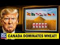 7 Countries Buying Canadian Wheat Over U.S.