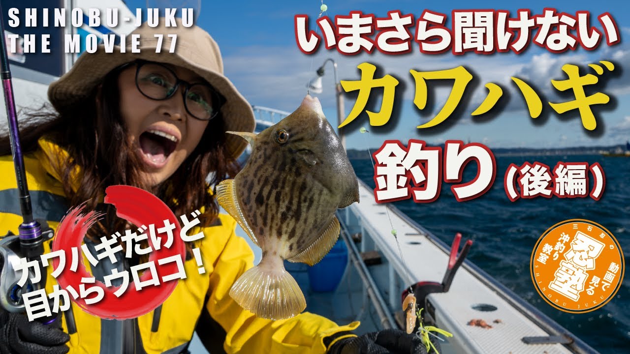 忍塾77｜いまさら聞けない船釣り入門「カワハギ釣り（後編）」悩める“ハリとハリス”から竿の選び方まで徹底解説！