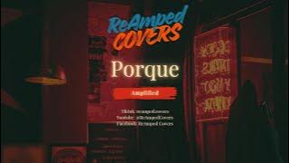 ReAmped Covers - Porque (Amplified)