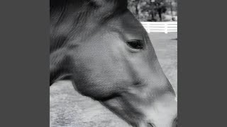 Download Lagu Jhee Zuss MP3