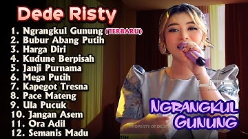 NGRANGKUL GUNUNG DEDE RISTY TERBARU 2025 GANJENE PANTURA FULL ALBUM TARLING 