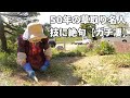 草取り名人に草取りを教えてもらった