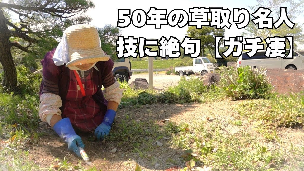 草取り名人に草取りを教えてもらった