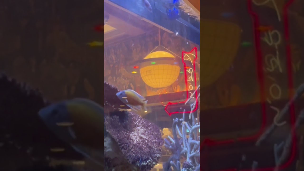 Atlanta Fish Market #dating #single #relationships #