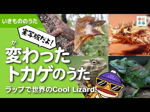 [Live-action version] The Unusual Lizard Song 🦎 ~The Cool Lizard Rap Worldwide!~