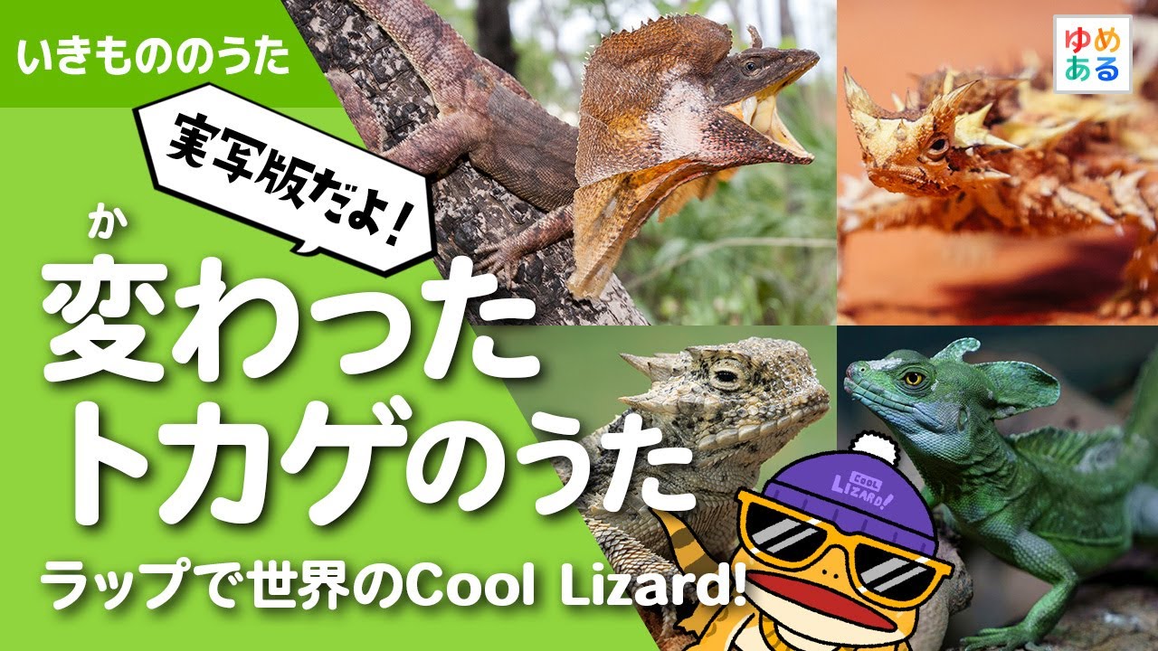【No.209】ビジュートカゲinトカゲ ～トカゲsoda～ Live-action version] The Unusual Lizard Song 🦎 ~The Cool Lizard