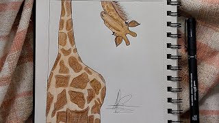 how to drawa giraffe تعلم كيف ترسم زرافة