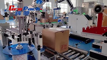 Complete Line of Unpacking Machine, Carton Packing,Sealing, Labeling, Palletizing Machine