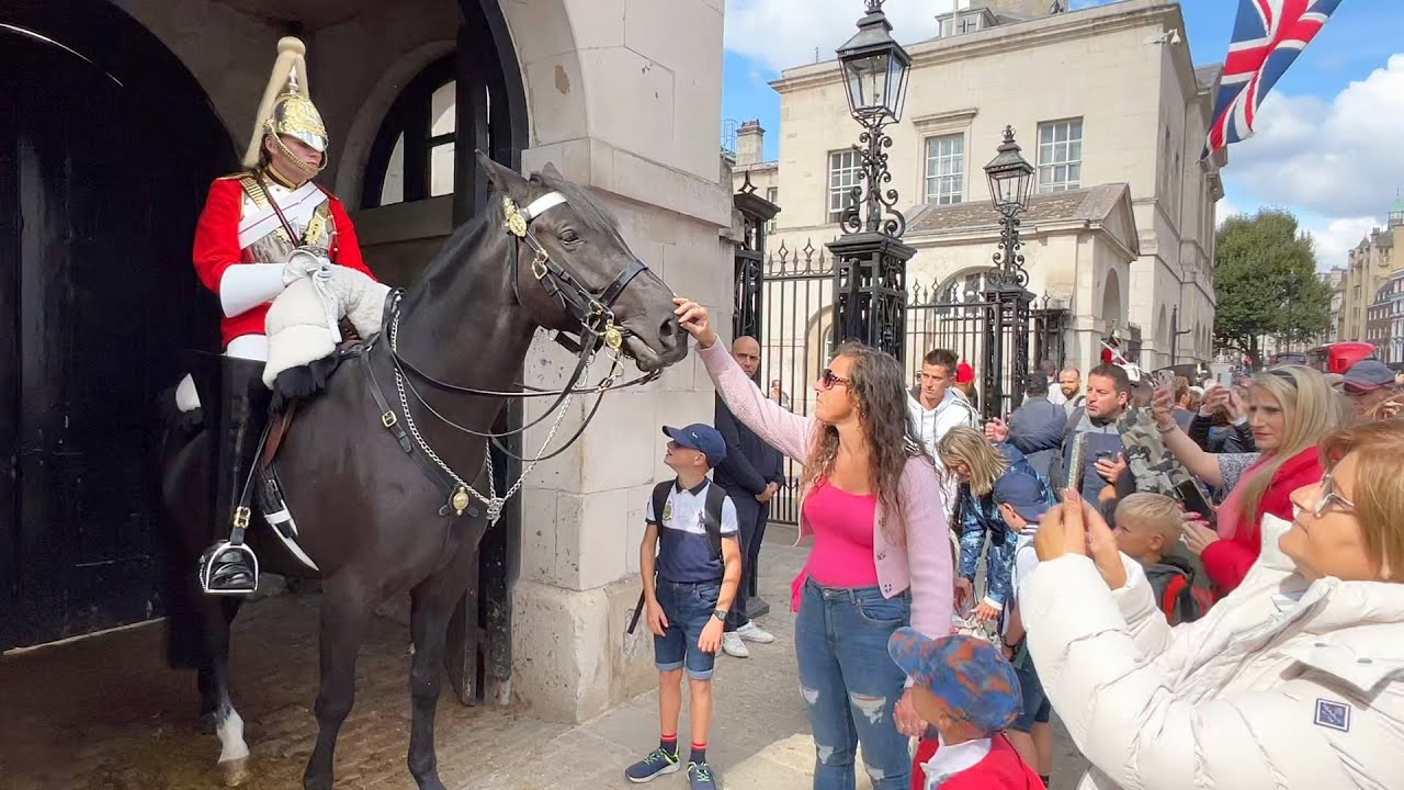 London live the king s guard london tourist experience youtube