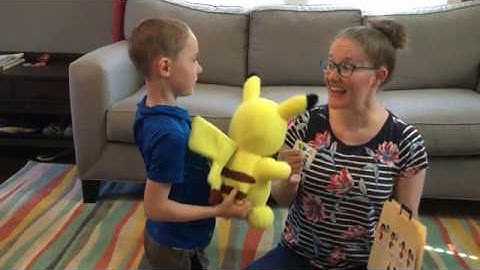 Pyramid Model Video 2: Problem Solving with the Solution Suitcase